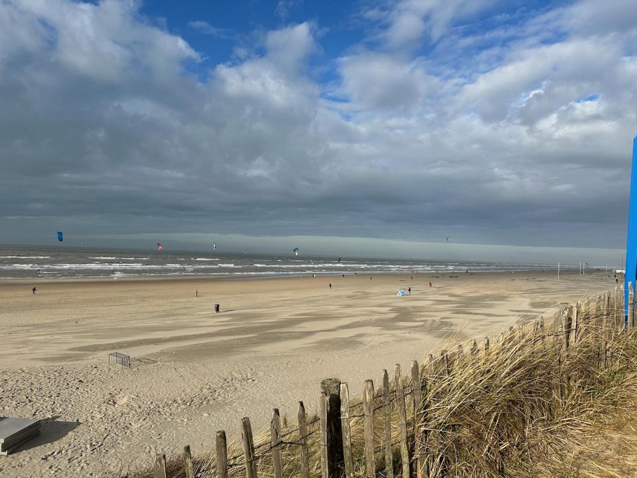 Studio34 Zandvoort Free Parking Eksteriør billede